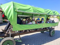 4485225579299742222638604387642672262445914n